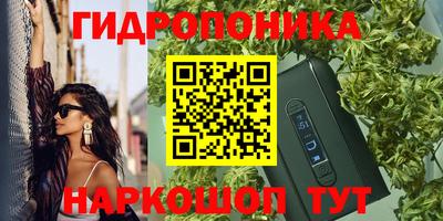 дживик Бийск