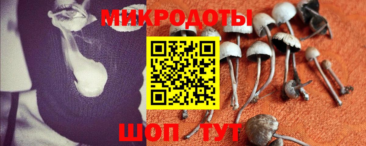 Псилоцибиновые грибы ЛСД Дзержинский