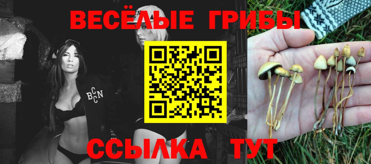 Галлюциногенные грибы Magic Shrooms  Дзержинский  Псилоцибиновые грибы GOLDEN TEACHER 