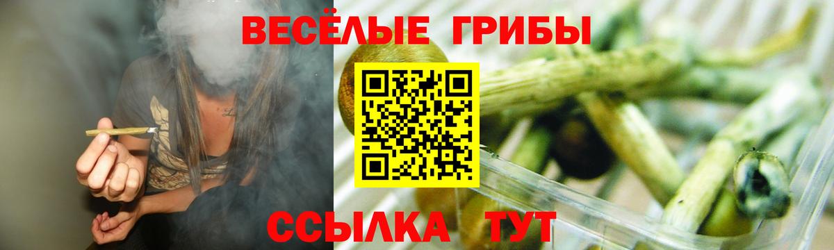 цена   Псилоцибиновые грибы Psilocybe  Вход с VPN  Дзержинский 